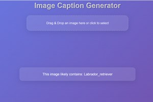 Image Caption Generator