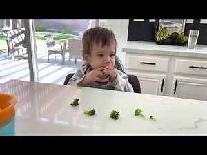 Sesame Street Broccoli song with Roman 🎵