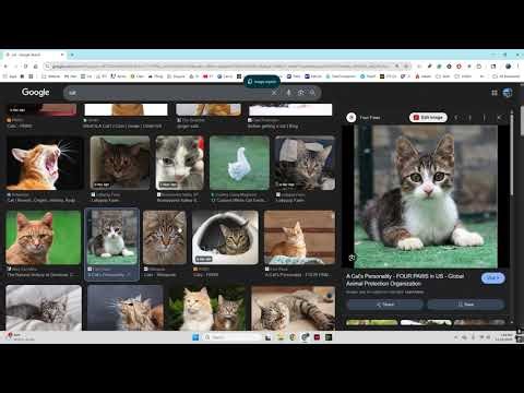 InDesign Layout Creation