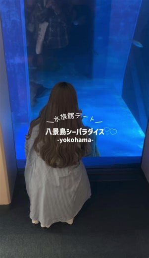 横浜・八景島シーパラダイスの魅力