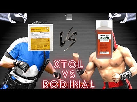 XTOL vs Rodinal