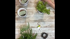 14K views · 551 reactions | DIY Dollar Tree Planter | Creating Through Chaos | Facebook