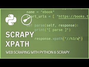 Scrapy XPath Selector