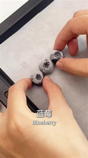 Frozen Blueberry Chocolate Yogurt Bites