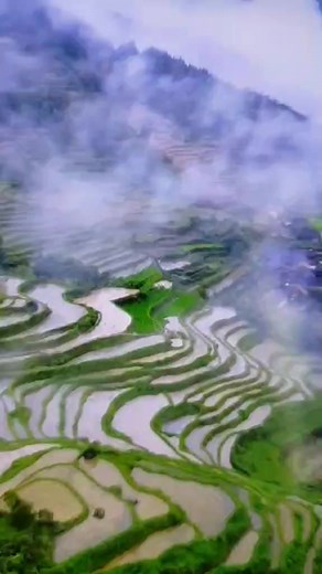 28K views · 188 reactions | Kwv txhiaj kho sian | Khu Xiong | Facebook