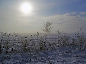 What is a solstice? And other questions about the shortest day of the year, answered