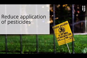 Bird population study shocked many: Here's how Ithaca helped count the animals