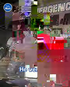 108K views · 2.1K reactions | He fled police for his cat 梁 | Daily Mail Video | Facebook