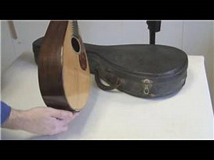 Mandolin : Appraising & Buying a Martin Mandolin From the 1920s