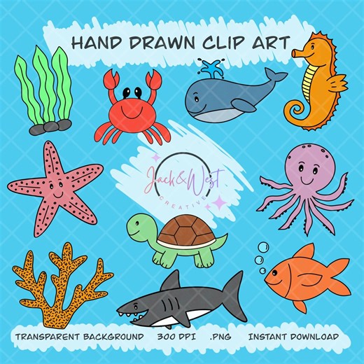 Hand Drawn Sea Creatures Clip Art | Ocean Animal Bundle (instant Download) - Etsy