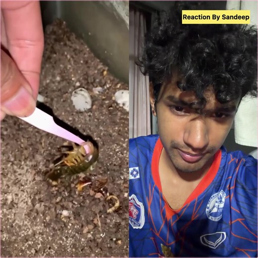 วิดีโอของ Reaction By Sandeep★ (@reaction.by.sandeep) พร้อมเพลง original sound - Reaction By Sandeep★