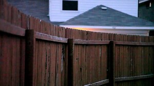 5D Mark II Manual Video Control