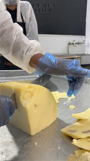 1.3K views · 13 reactions | Watch the satisfying process of cutting Parmesano cheese. 燎✨Visit us at farmerscheesemaking.com for more artisanal cheese content!#CheeseCutting #ParmigianoReggiano #SatisfyingVideos #CheeseLovers #ArtisanCheese #CheeseMaking #FoodASMR #CheeseProcess #farmerscheesemaking | Farmers Cheese Making | Facebook