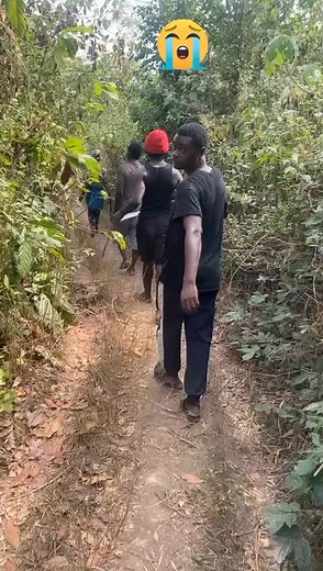 Bra Samed (@seveneleven7_1)’s videos with original sound - Bra Samed