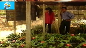 සෙනෙහෙවන්තයෝ | Program Part 03 | Directors Cut | Nalan Mendis A https://youtu.be/bc_9pVFauWo | පි ත් ත ල හ ං දි ය