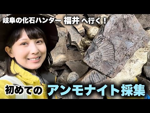 【化石発掘】アンモナイト採集！福井県大野市貝皿へ行ってきました！