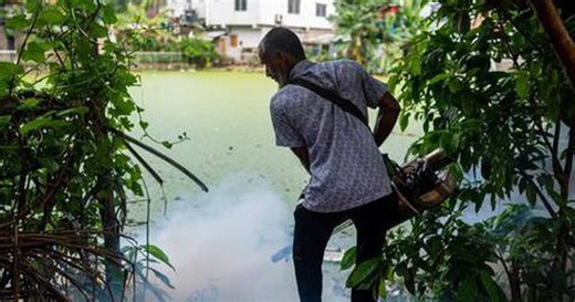 Loài động vật nguy hiểm nhất thế giới giết chết hơn 1.000.000 người mỗi năm: Không phải con vật bạn đang nghĩ