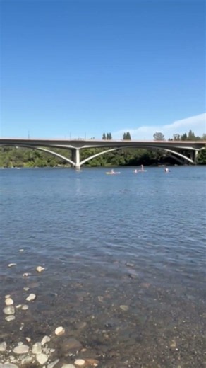 Elevated levels of E.coli detected at Folsom Lake Recreation Area