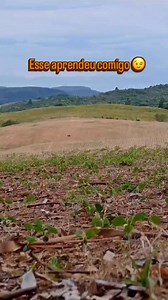 91K views · 1.9K reactions | #brutosdojava | Brutos Do Java | Facebook