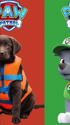 Paw Patrol Characters In Real Life #pawpatrol #kids #learning #chase #marshall #skye #rocky #rubble