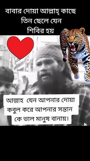 Majestic Leopard Roaring Against Dynamic Backgrounds