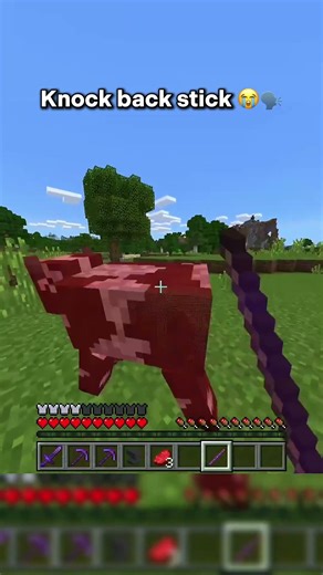 Knock back stick 😭🗣️ #minecraft #gaming #shorts