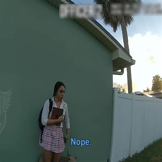 414K views · 6.3K reactions | Man’s Fake Legal Trick Backfires With Police #Accountability #LifeLessons #RespectMatters #CommunityAwareness | KarenRolls | Facebook