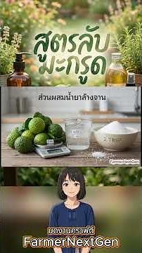 สูตรลับมะกรูดหลังบ้าน: ทำแชมพู น้ำยาล้างจาน สเปรย์ดับกลิ่นใช้เอง ไม่ง้อสารเคมี
