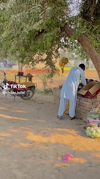 Wait for Bon#funnyshorts #fbreels