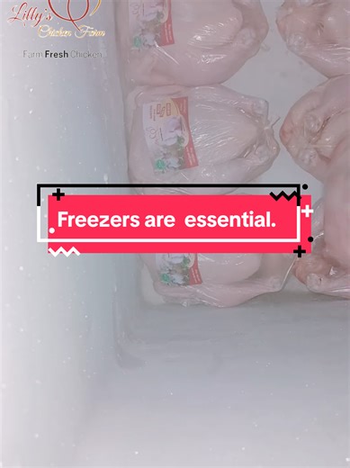 Why Every Broiler Chicken Farmer Needs a Freezer