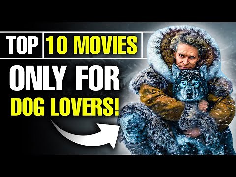 The 10 Best Dog Movies Ever Made!