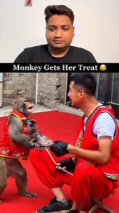 551K views · 6.5K reactions | The Moneys World  #monkey #MonkeyLife #monkeybaby #fbreels #pet #fbreelsfypシ゚viralシ #trendingreels #trend #dogs #animals #usa | Gaurav Facts | Facebook