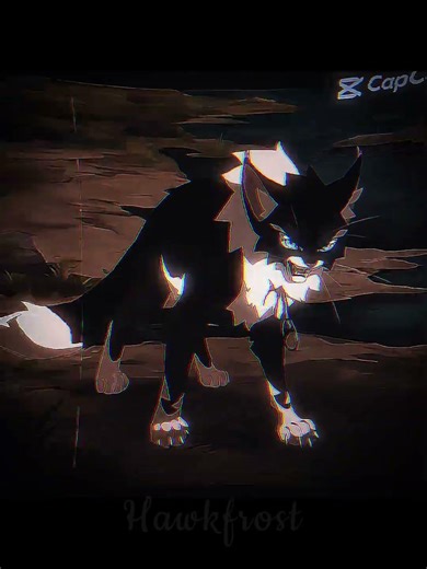 -#hawkfrost - #warriorcats #warriors #wc #edit #capcut #warriorcatshawkfrost