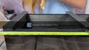 Dog Show Training Stack Box Toy Adult Size Stack Training 20" X 12" Handmade - Etsy