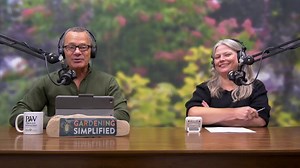 Hear from lifelong gardeners Rick Vuyst and Stacey Hirvela on the Gardening Simplified podcast from Proven Winners ColorChoice Shrubs. Tune in each week for your weekly dose of gardening wisdom! | Proven Winners ColorChoice Flowering Shrubs