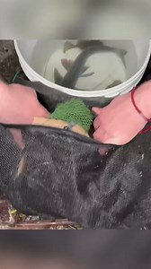 169K views · 1.8K reactions | It's a fire eel! | Bass Fishing Productions | Facebook