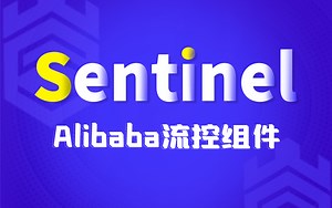 2021最新版Sentinel教程丨Alibaba流量控制组件sentinel，附带最新课程笔记资料（Java教程 阿里巴巴 Sentinel 分布式教程）