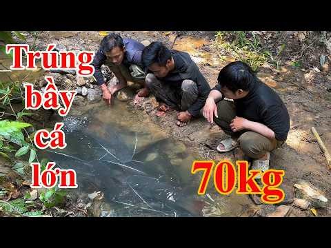 Xây bể cá cảnh giữa rừng sâu câu cá to lớn