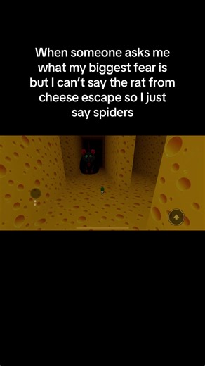 Facing Fears in Roblox Cheese Escape