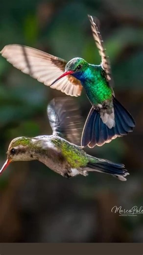 Angie Hernandez 380 on TikTok