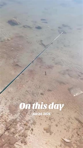 live chall fish mangla dem🎣🐟 fish point AJ ki report #foryou #foryoupage #ypfッ #tiktok #stndwilhkashmir