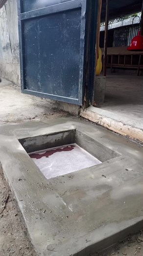 Preparing Poultry House for New Chicks: Cost Comparison & Farming Tips