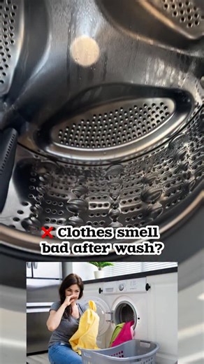 Priya for you on Instagram: "Comment for link #washingmachine #amazonfinds #homecleaning @kleenest.in @kleenest_telugu Klenzmo by kleenest washing machine cleaner, happi planet, trending, viral reels, cleaning hacks, washing machine cleaner tablet, eco-friendly washing machine cleaner & descaler, deep clean]"