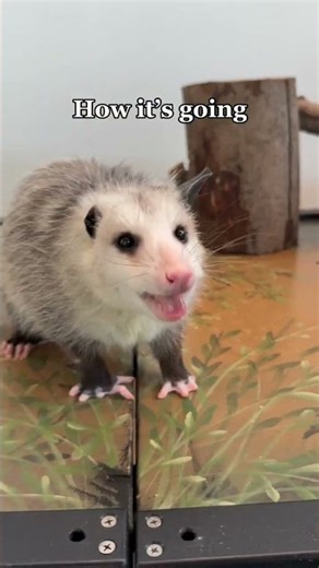 Crouton is getting cuter every day!