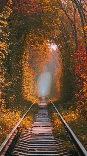 Tunnel of Love (Tunel Kokhannya), Ukraine