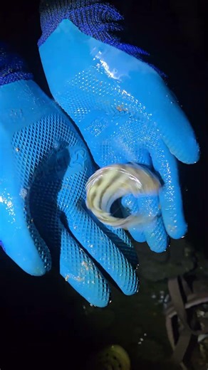 Lure fishing - LURE #fishing #luer #lurefishing #bigfish