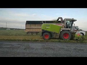 Barley Silage Harvest Alcala Farms