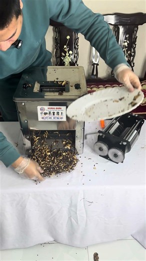 MÁY THÁI NẤM MÈO, MÁY CẮT MỘC NHĨ QL90 - 2MM