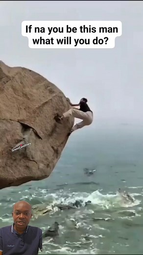 469K views · 3.4K reactions | Between the dev! l & deep blue sea.. | GreeN Care Diary | Facebook