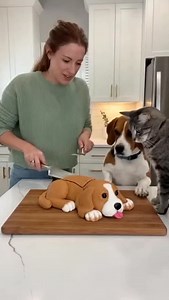 689 reactions · 29 shares | bed dog #prank #dog #sora2 | funtime361 | Facebook